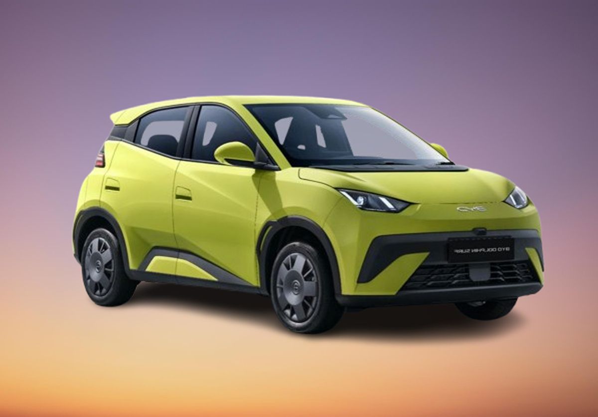 byd dolphin surf